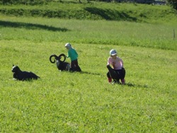 Ups! Da fehlt wohl ein Bild