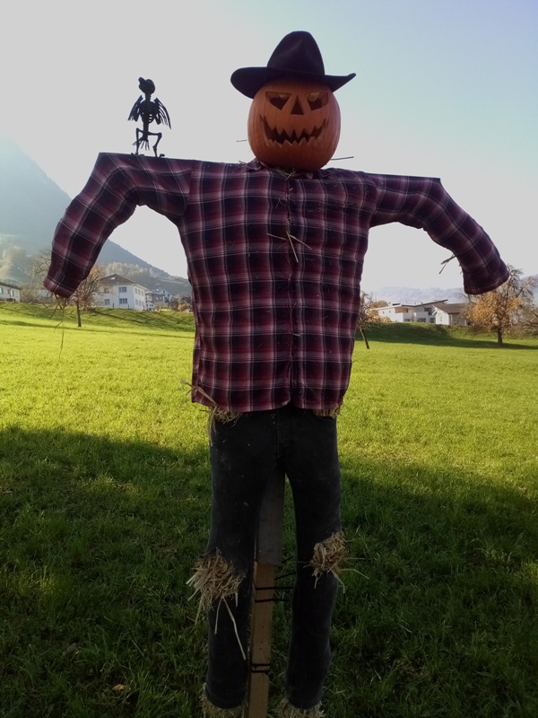 Ups! Da fehlt wohl ein Bild