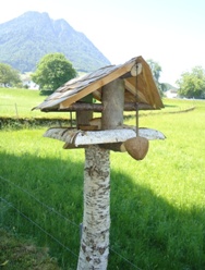 Ups! Da fehlt wohl ein Bild